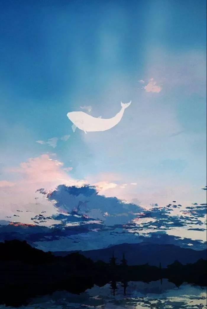 MG动画风靡全球,这款动画个性十足! MG动画风靡全球,这款动画个性十足!