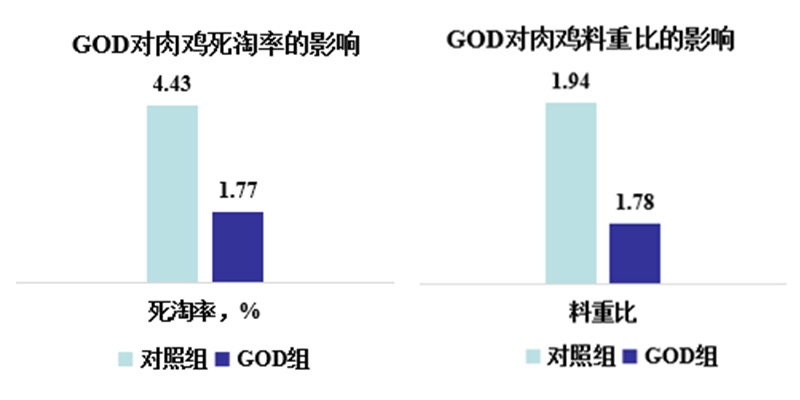 减抗替抗,绿色养殖原来可以这样简单 减抗替抗,绿色养殖原来可以这样简单