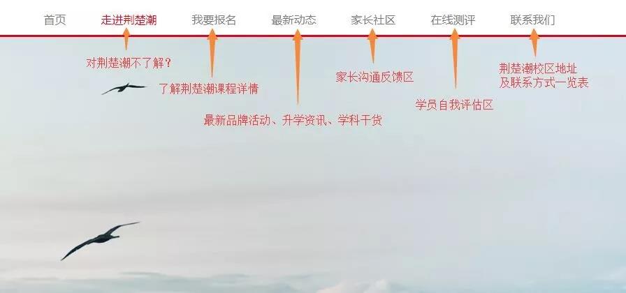 荆楚潮教育品牌升级,官网全新上线!高颜值、功能更强大 荆楚潮教育品牌升级,官网全新上线!高颜值、功能更强大
