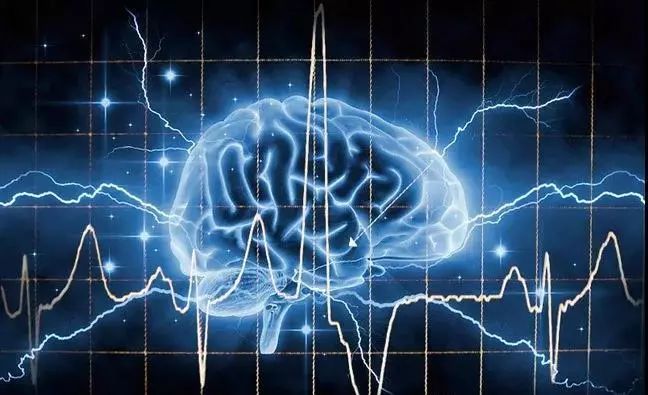 《站在国家高度推动亚洲十大信誉彩票平台 脑科学》——“未来学校研究与实验计划”实验项目之贾少微教授亚洲十大信誉彩票平台 讲座分享 《站在国家高度推动亚洲十大信誉彩票平台 脑科学》——“未来学校研究与实验计划”实验项目之贾少微教授亚洲十大信誉彩票平台 讲座分享