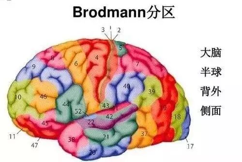 《站在国家高度推动亚洲十大信誉彩票平台 脑科学》——“未来学校研究与实验计划”实验项目之贾少微教授亚洲十大信誉彩票平台 讲座分享 《站在国家高度推动亚洲十大信誉彩票平台 脑科学》——“未来学校研究与实验计划”实验项目之贾少微教授亚洲十大信誉彩票平台 讲座分享