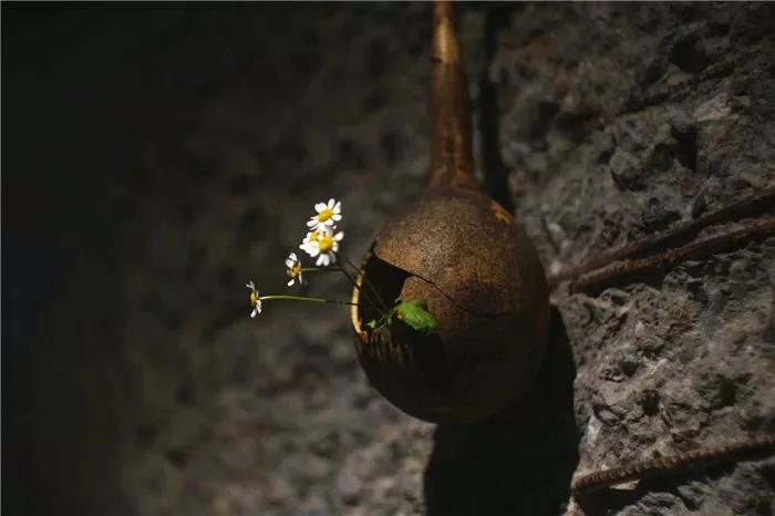 丝瓜、虫巢、树桩……你想不到的器皿插花，野趣盎然！