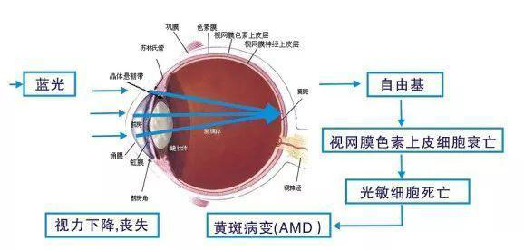 眼貼oem代加工-護眼軟件真的有用嗎 -西安中天生物