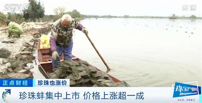 珍珠价格连涨3年!一涨就是20%!珠宝行业不景气,珍珠为何变珍贵? 珍珠价格连涨3年!一涨就是20%!珠宝行业不景气,珍珠为何变珍贵?