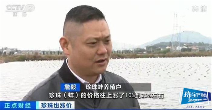 珍珠价格连涨3年!一涨就是20%!珠宝行业不景气,珍珠为何变珍贵? 珍珠价格连涨3年!一涨就是20%!珠宝行业不景气,珍珠为何变珍贵?