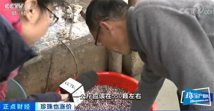珍珠价格连涨3年!一涨就是20%!珠宝行业不景气,珍珠为何变珍贵? 珍珠价格连涨3年!一涨就是20%!珠宝行业不景气,珍珠为何变珍贵?