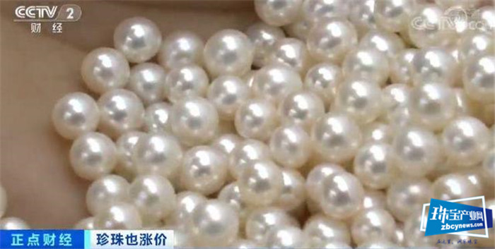 珍珠价格连涨3年!一涨就是20%!珠宝行业不景气,珍珠为何变珍贵? 珍珠价格连涨3年!一涨就是20%!珠宝行业不景气,珍珠为何变珍贵?