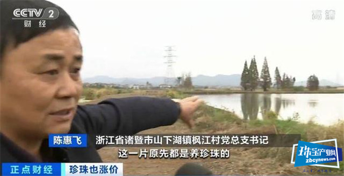 珍珠价格连涨3年!一涨就是20%!珠宝行业不景气,珍珠为何变珍贵? 珍珠价格连涨3年!一涨就是20%!珠宝行业不景气,珍珠为何变珍贵?