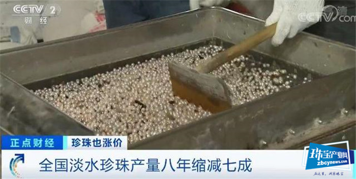 珍珠价格连涨3年!一涨就是20%!珠宝行业不景气,珍珠为何变珍贵? 珍珠价格连涨3年!一涨就是20%!珠宝行业不景气,珍珠为何变珍贵?
