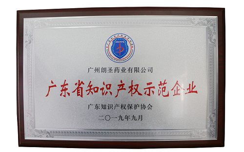 广东省知识产权示范企业 广东省知识产权示范企业