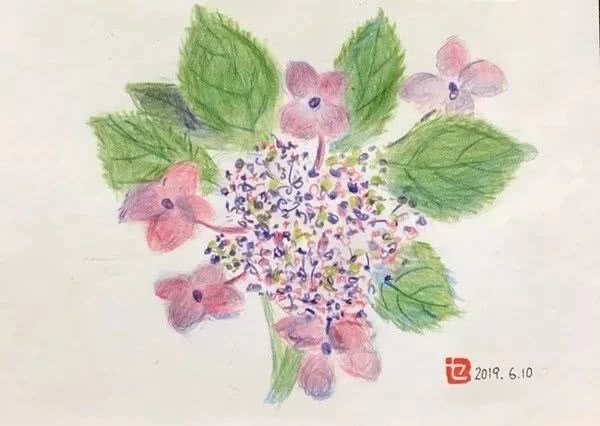 比MG 动画制作更形象的撕报纸作画,一夜爆火,惊艳3万网友:我缺的是纸吗?我缺的是手 比MG 动画制作更形象的撕报纸作画,一夜爆火,惊艳3万网友:我缺的是纸吗?我缺的是手