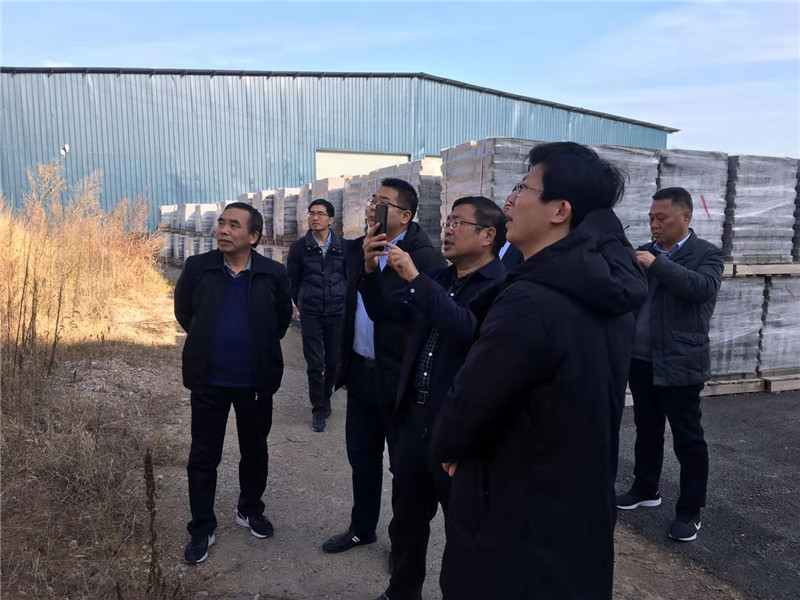 河南省自然资源厅领导莅临华美生态淅川县生态修复项目