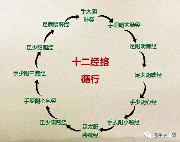 颈椎病常用的经络有9条,你知道吗? 颈椎病常用的经络有9条,你知道吗?