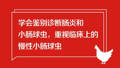 學(xué)會(huì)鑒別診斷腸炎和小腸球蟲(chóng)，重視臨床上的慢性小腸球蟲(chóng)