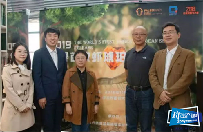 世界首次!NGTC为天然真虾琥珀作鉴证 世界首次!NGTC为天然真虾琥珀作鉴证
