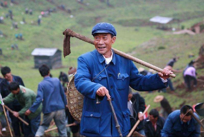 感动中国:绿树植荒山—杨善洲