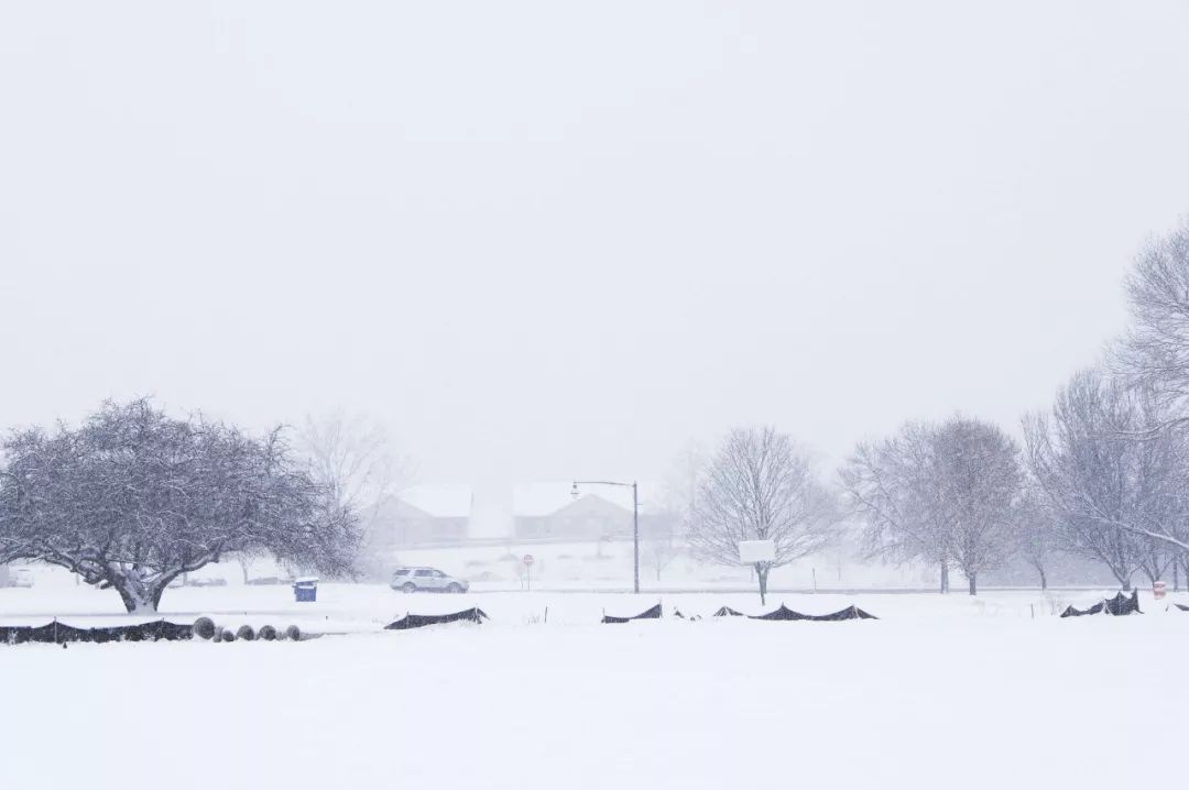 今日節(jié)氣大雪?雪紛飛?仲冬始