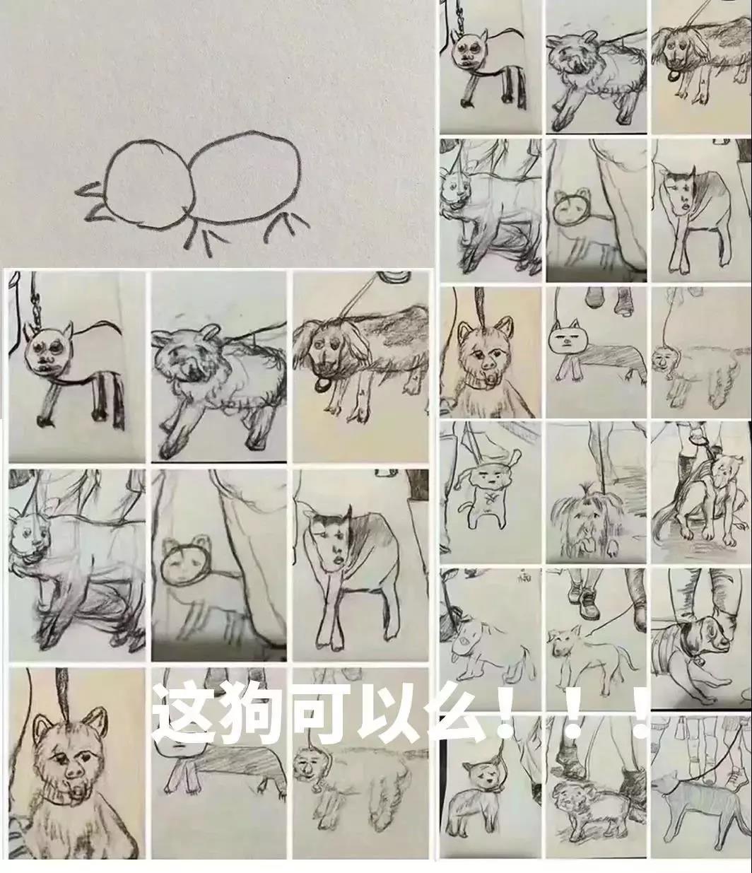 七省考试结束 ▏四川考生神吐槽:你挑着粪,我牵着狗,来年复读手拉手~ 七省考试结束 ▏四川考生神吐槽:你挑着粪,我牵着狗,来年复读手拉手~