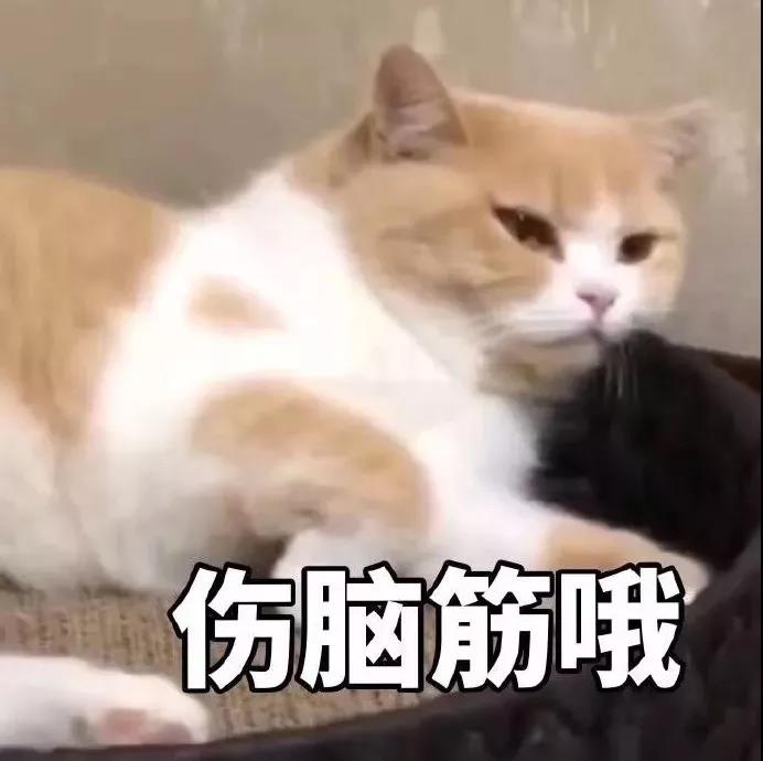 七省考试结束 ▏四川考生神吐槽:你挑着粪,我牵着狗,来年复读手拉手~ 七省考试结束 ▏四川考生神吐槽:你挑着粪,我牵着狗,来年复读手拉手~
