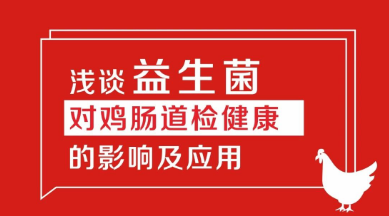 淺談益生菌對(duì)雞腸道檢健康的影響及應(yīng)用