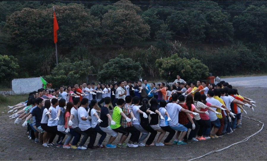 集团举办“平台广·新青年”主题团日活动 集团举办“平台广·新青年”主题团日活动