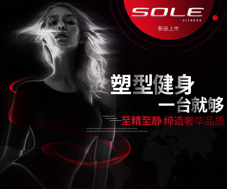 美国sole速尔B94L进口健身车家用减肥超静音