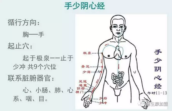 手臂内侧三个护心穴,有助于心神 手臂内侧三个护心穴,有助于心神