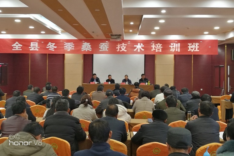省蚕桑创新团队岗位专家为莒县冬季桑蚕技术培训班授课 省蚕桑创新团队岗位专家为莒县冬季桑蚕技术培训班授课