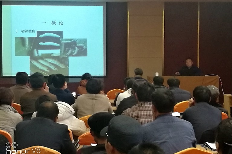 省蚕桑创新团队岗位专家为莒县冬季桑蚕技术培训班授课 省蚕桑创新团队岗位专家为莒县冬季桑蚕技术培训班授课