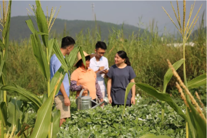 视频丨乘减税降费东风，90后圆了“鱼菜共生”梦