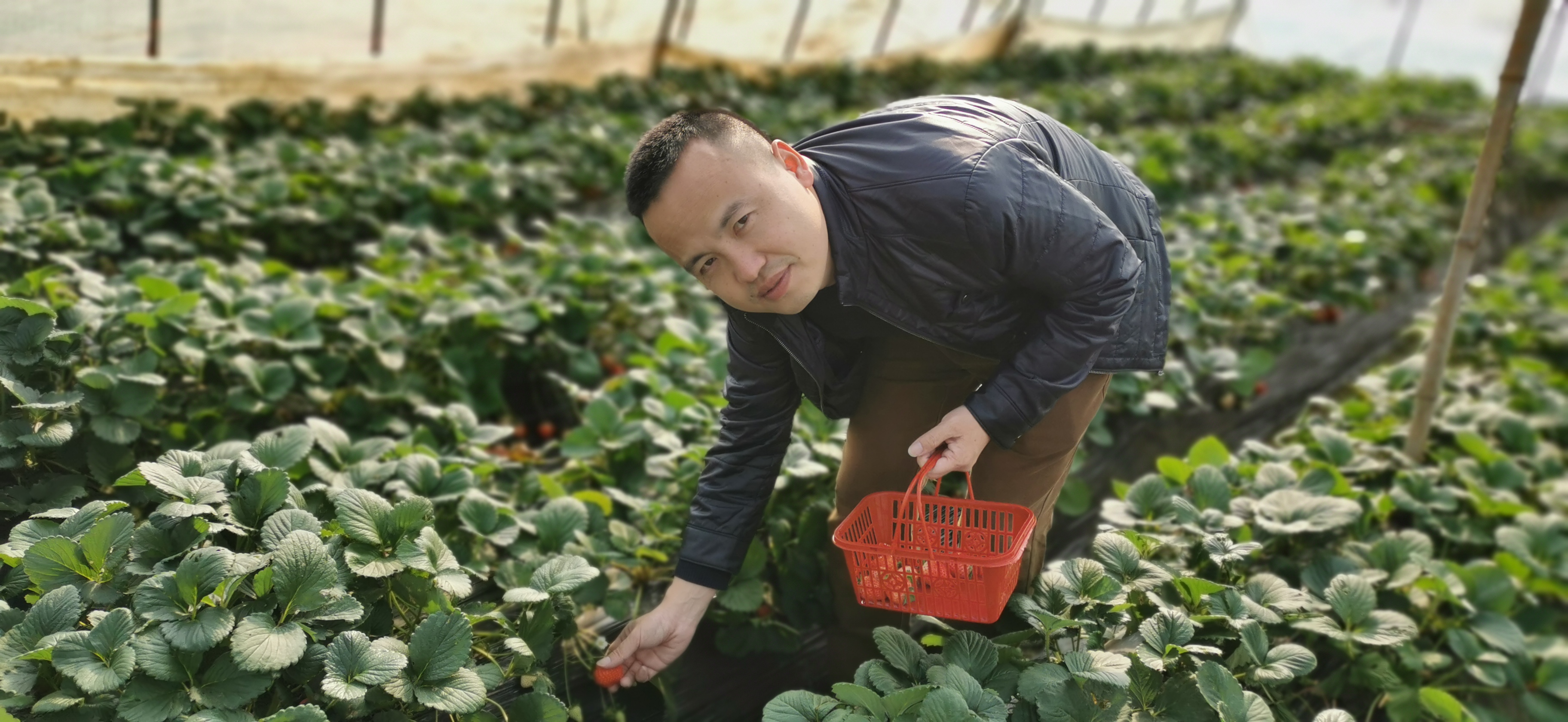 STT系湖北中实生态农业园团建,嗨翻天! STT系湖北中实生态农业园团建,嗨翻天!