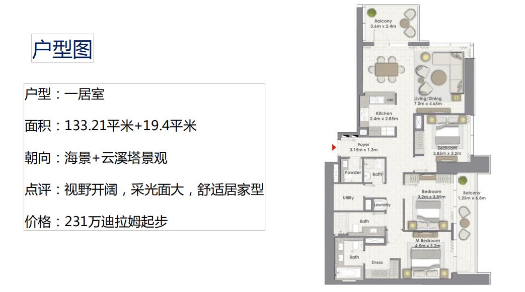 迪拜未来之城·云溪港