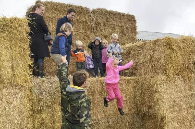 丹麦幼儿园如何玩转玩耍、生活和学习