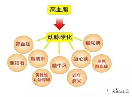 高血脂如何调养? 高血脂如何调养?