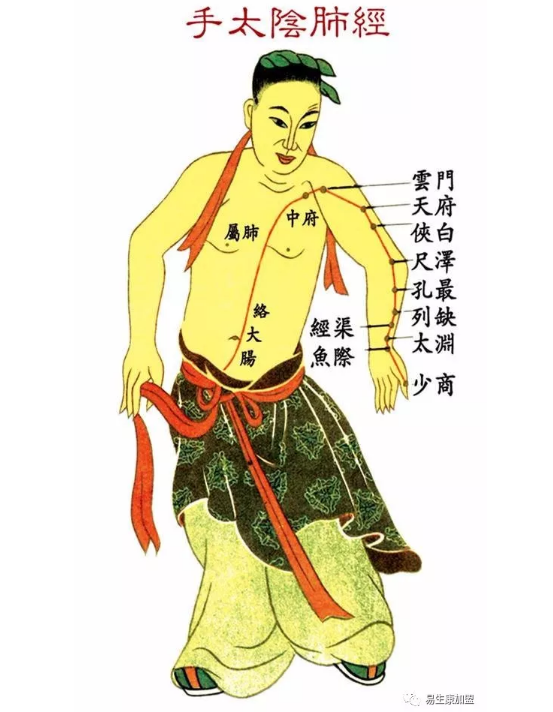疏通经络,肺经疏通很重要! 疏通经络,肺经疏通很重要!