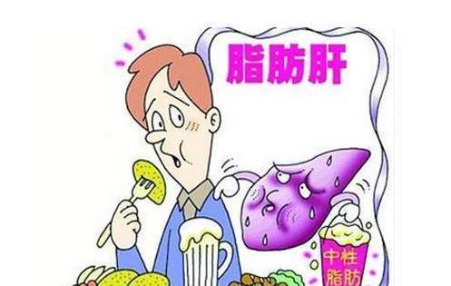 有了脂肪肝，膳食营养要从这五方面调整-西安中天生物