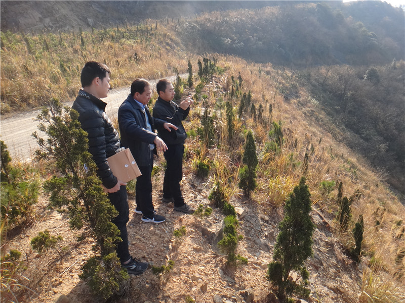 华美生态应邀赴广西考察风电场生态环境修复项目