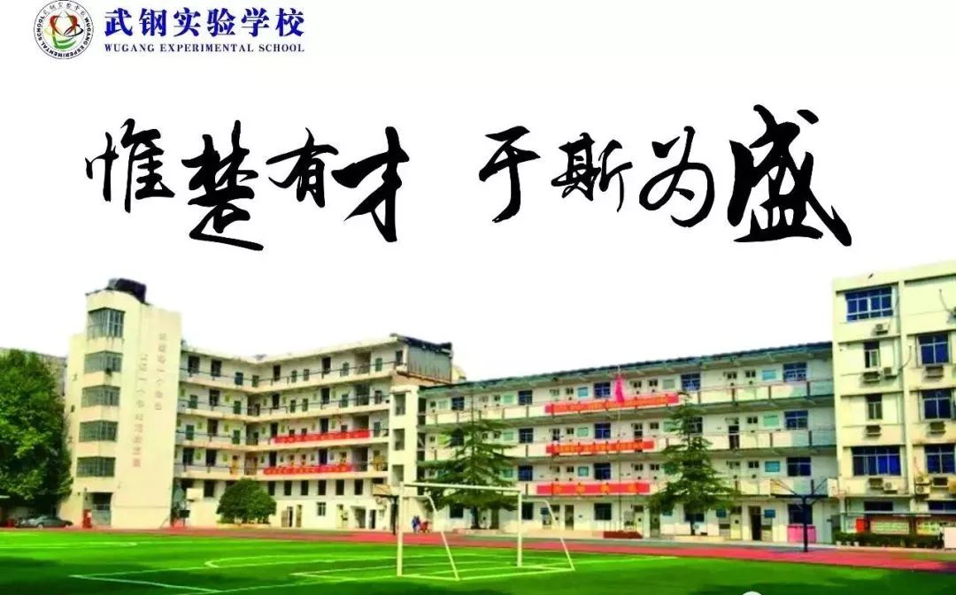 武钢实验升学政策线上讲座：截然不同的优录政策，助您独辟升学蹊径