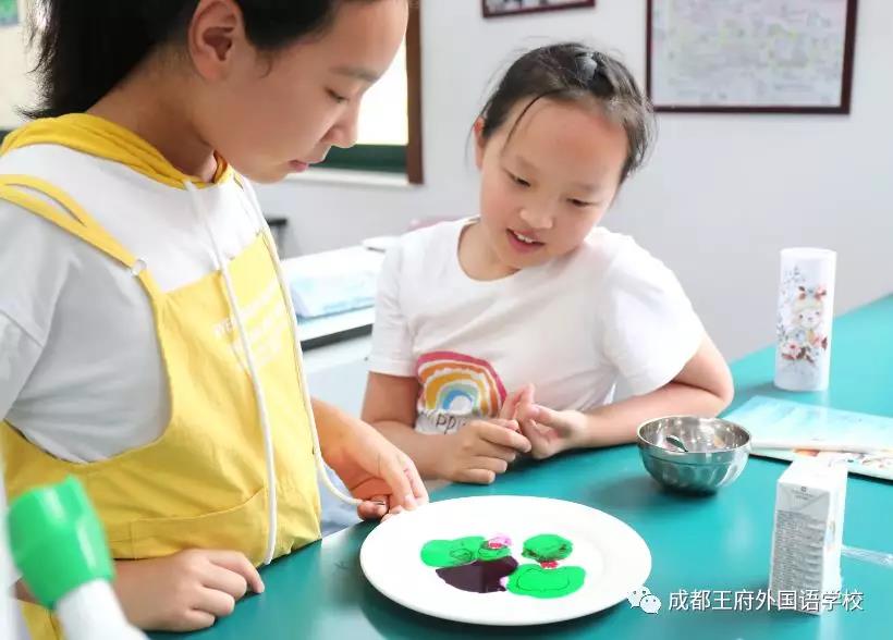 2019成都王府剑桥英语夏令营—特色课程篇 2019成都王府剑桥英语夏令营—特色课程篇