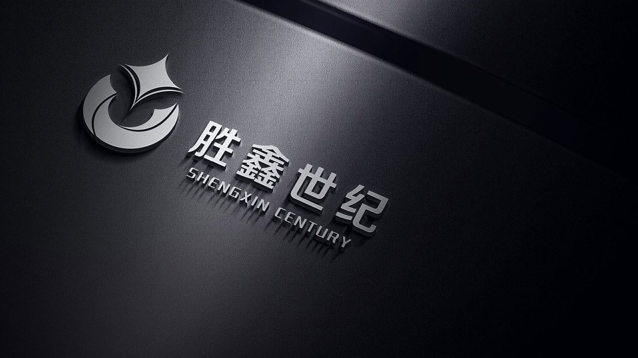 胜鑫世纪商贸有限公司VI手册服务案例 胜鑫世纪商贸有限公司VI手册服务案例