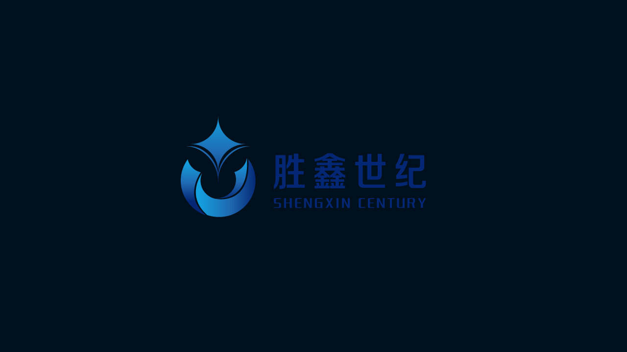 胜鑫世纪商贸有限公司VI手册服务案例 胜鑫世纪商贸有限公司VI手册服务案例