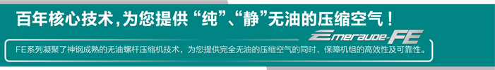 无油螺杆式 无油螺杆式