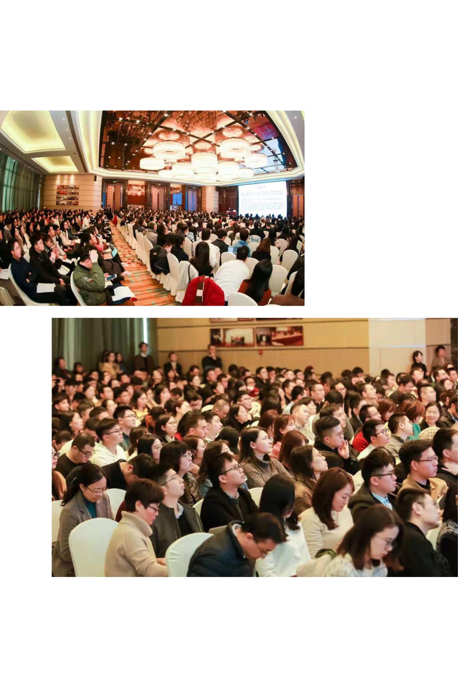 九恒所吕健和徐翀两位律师参加《九民会议纪要》的解读与适用专题讲座 九恒所吕健和徐翀两位律师参加《九民会议纪要》的解读与适用专题讲座