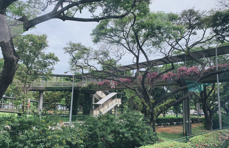留学高性价比国家——新加坡 留学高性价比国家——新加坡