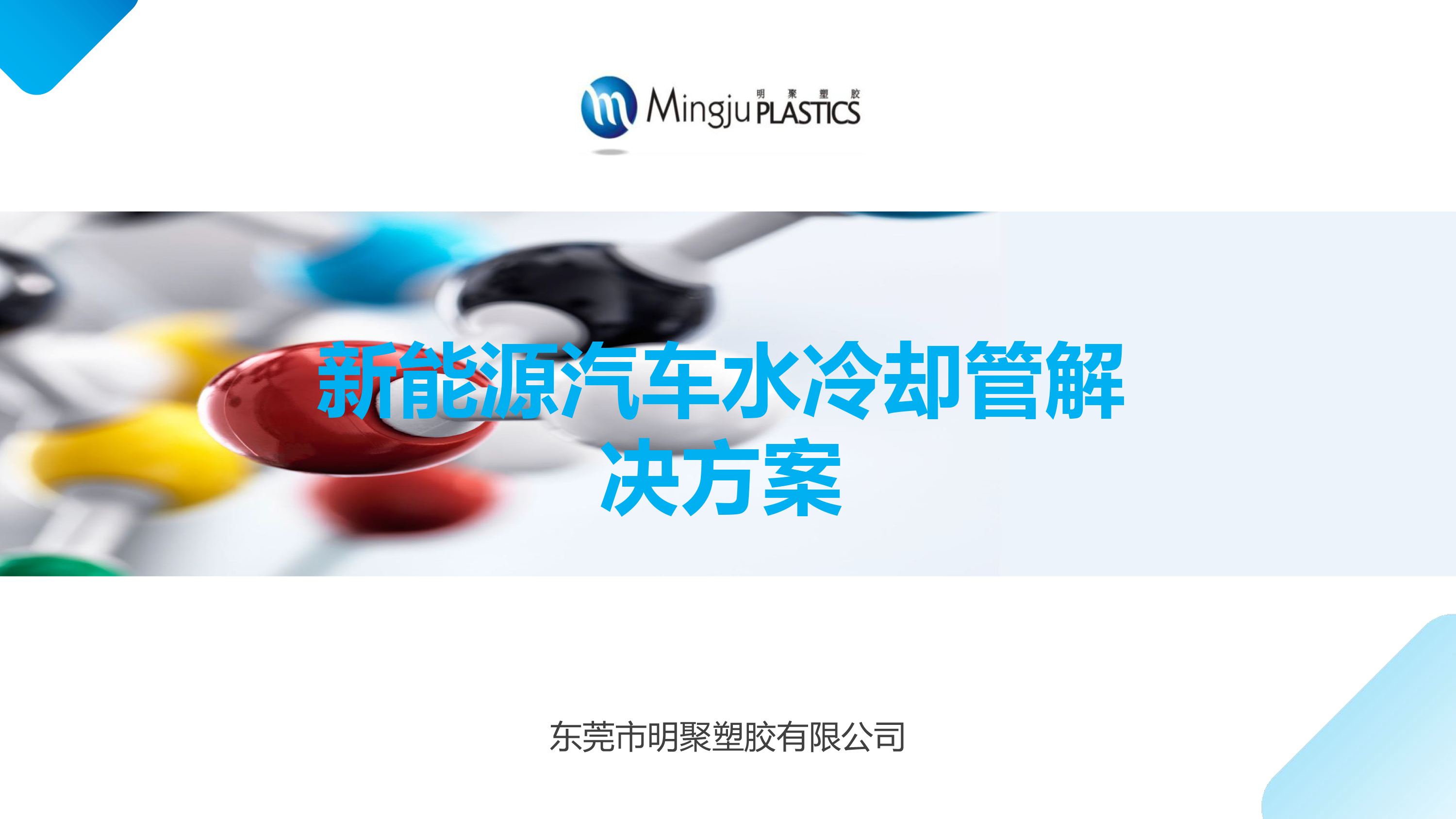 純電動車