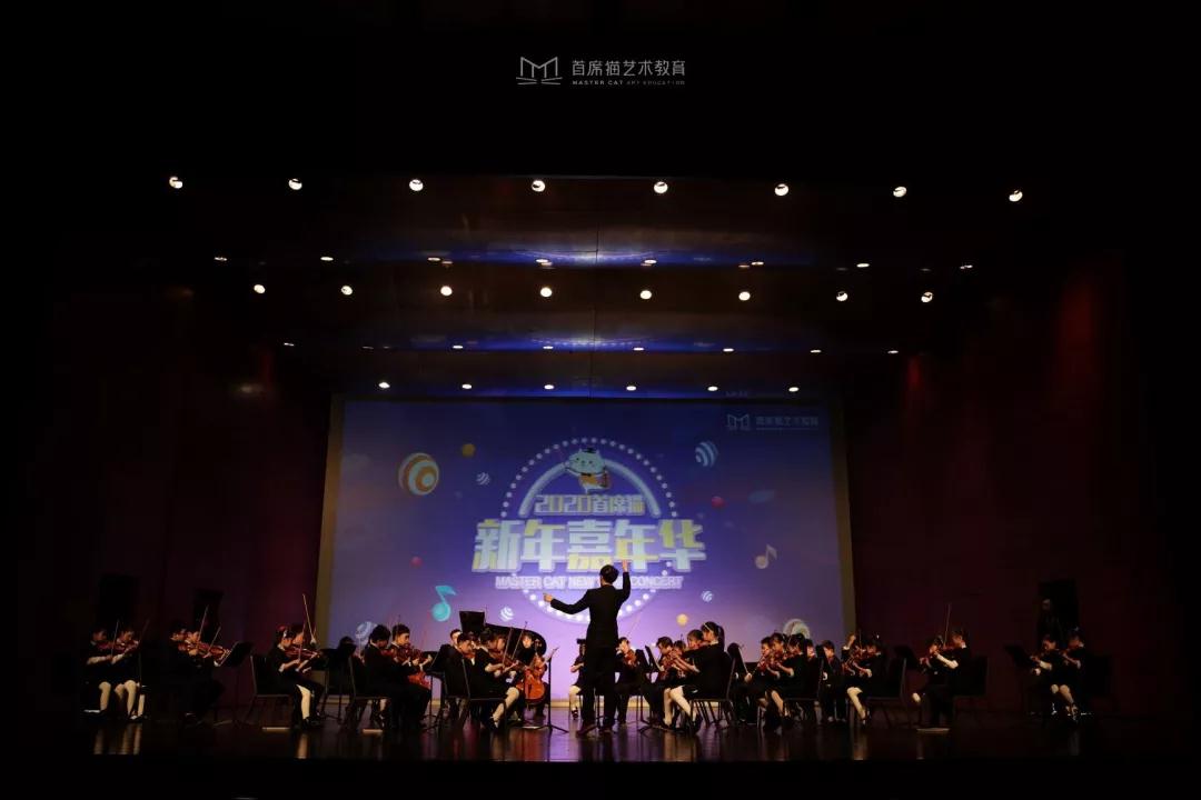 记录2019首席猫演出丨铭记每一个闪耀的舞台瞬间 记录2019首席猫演出丨铭记每一个闪耀的舞台瞬间