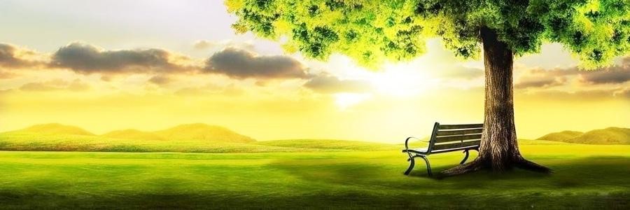 8、关于心理咨询你所需要了解的(下) 8、关于心理咨询你所需要了解的(下)