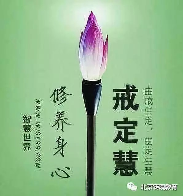 心理调节与提升总结(心理总结篇二) 心理调节与提升总结(心理总结篇二)