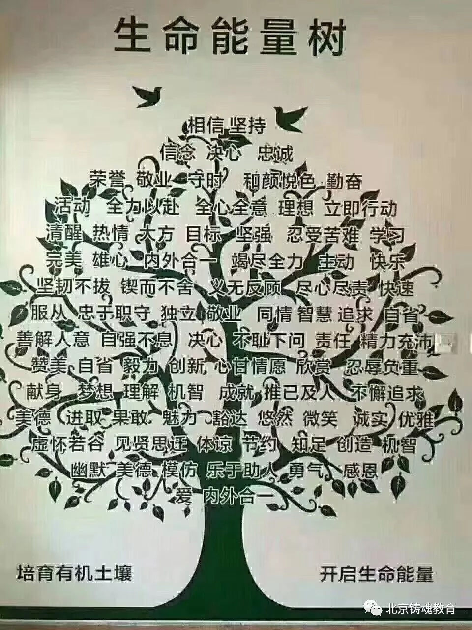 心理调节与提升总结(心理总结篇二) 心理调节与提升总结(心理总结篇二)