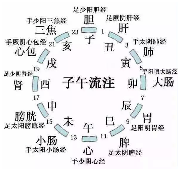 十二经络名称为什么要这样命名?明白也就不难找穴位了 十二经络名称为什么要这样命名?明白也就不难找穴位了